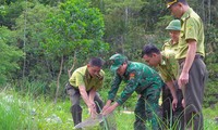  Kỷ lục, sói già một mắt sinh lứa con thứ 10 第2张