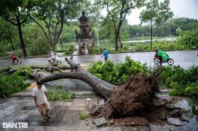 Yêu cầu doanh nghiệp bảo hiểm tạm ứng ngay bồi thường sau bão Yagi