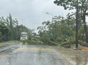 Toàn bộ Hải Phòng, Quảng Ninh mất điện  第6张