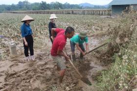 Nông dân gượng dậy thế nào sau bão Yagi: Người quay về nuôi cá, người làm đất gieo hạt (Bài 5)  第8张