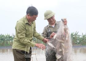 Nuôi loài cá đối thơm ngon, ông nông dân Thái Bình nhẹ nhàng thu 300 triệu/năm  第2张