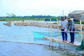 Cho tôm sú, cua biển &quot;chung nhà&quot; với cá đối ở Hà Tĩnh, con nào cũng ngon, cứ 1ha dân lãi hơn 250 triệu đồng