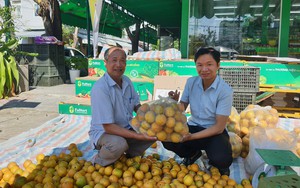 Báo Nông thôn Ngày nay/Dân Việt và Hội dân TP.Đà Nẵng tạo cầu nối tiếp sức cho nông  第17张