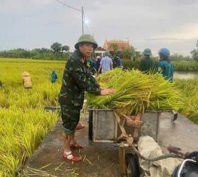  Thanh Hoá: Bộ đội, dân quân giúp dân gặt lúa &apos;chạy&apos; mưa bão 