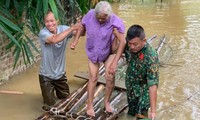  Thanh Hoá: Bộ đội, dân quân giúp dân gặt lúa &apos;chạy&apos; mưa bão 