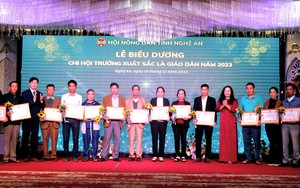 Bình chọn Nông dân Việt Nam xuất sắc 2024: Ấn tượng với nông dân có 500ha đất, thu nhập hàng chục tỷ đồng/năm