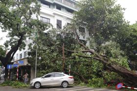 Cận cảnh nhiều công trình, nhà cửa tại Hà Nội bị tàn phá nặng nề sau cơn bão lịch sử Yagi  第11张