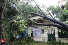 Cận cảnh nhiều công trình, nhà cửa tại Hà Nội bị tàn phá nặng nề sau cơn bão lịch sử Yagi  第12张