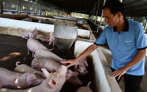 Trường Trung cấp Nông dân Việt Nam hoàn tất đánh giá nghiệm thu các chương trình đào tạo nghề ngắn hạn năm 2024