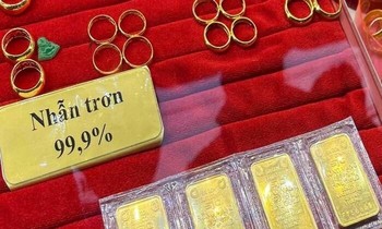  Cặp ngà đáng yêu của voi Gold trước khi phải nhổ bỏ 