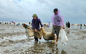 Nhóm nam sinh cứu hai người bị nước lũ cuốn trôi