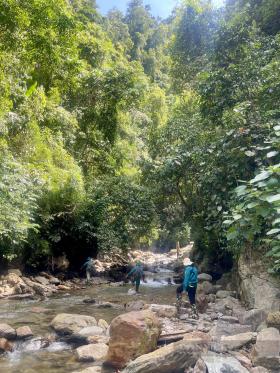 Thợ săn vượt suối, trèo cây cao vút giữa rừng già để “ăn” mật ong rừng tại Phú Thọ