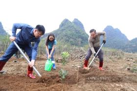 Gieo hạt mầm nhân ái, gặt hái đầy quả ngọt