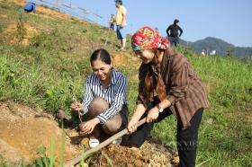 Gieo hạt mầm nhân ái, gặt hái đầy quả ngọt