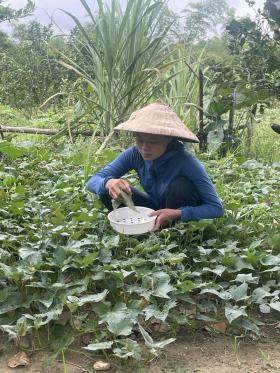 Mẹ bệnh tim, con bị ung thư não, gia đình lâm vào bế tắc