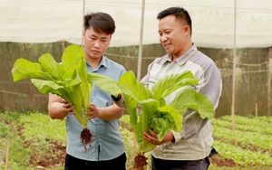 Khám xét nhà riêng Chánh Văn phòng Sở Tài nguyên và Môi trường tỉnh Lâm Đồng