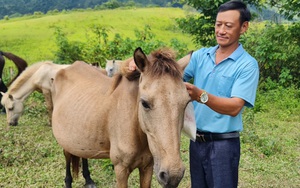 Nông dân Thái Nguyên thoát nghèo nhờ nguồn tín dụng ưu đãi từ Ngân hàng Chính sách xã hội