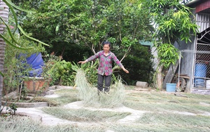 Hà Tĩnh: Tuyên truyền, xử lý răn đe mạnh việc bẫy bắt chim hoang dã ở một xã, thả 15 con trong ngày  第6张