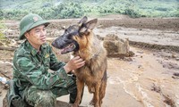  Biệt đội cứu hộ trên đỉnh Lang Biang 