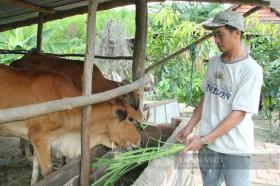 Hội Nông dân Phú Yên sáng tạo trong cách nghĩ, cách làm giúp nông dân thoát nghèo bền vững