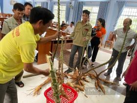 Hội Nông dân Phú Yên sáng tạo trong cách nghĩ, cách làm giúp nông dân thoát nghèo bền vững