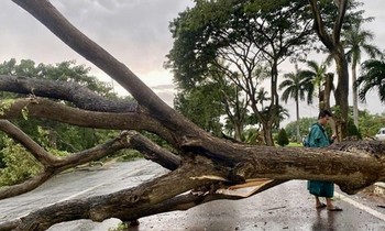  Bị khách hàng lớn tuổi tố &apos;giăng bẫy&apos; để bán kỳ nghỉ, RAVI hoàn trả tiền, kỷ luật nhân viên 