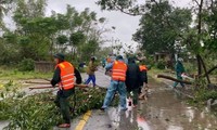  Bão Trà Mi gây ngập lụt diện rộng, hàng trăm ngôi nhà hư hỏng, tốc mái 